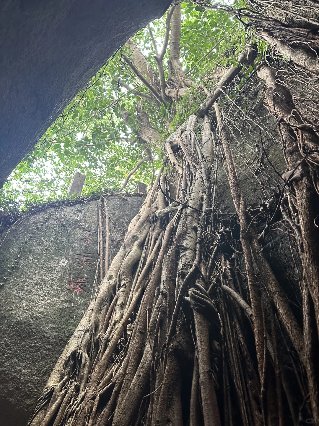 福州周边亲子趣味性最浓的一座山，冲！