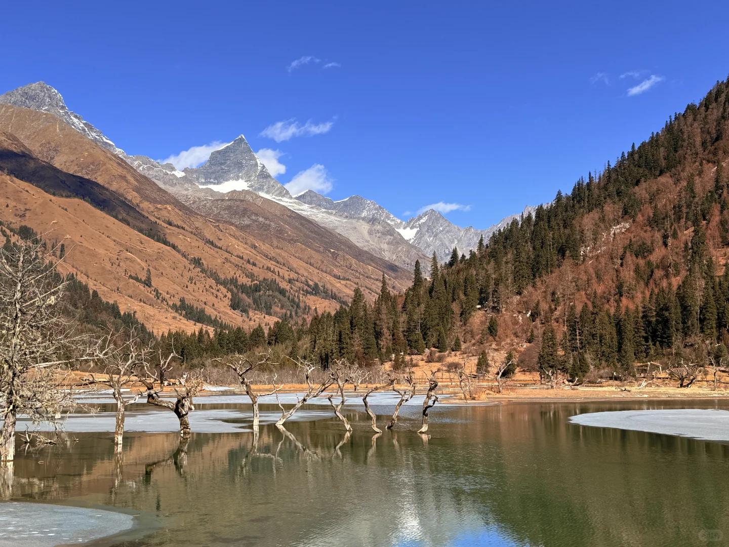 四姑娘山原图直出有多美