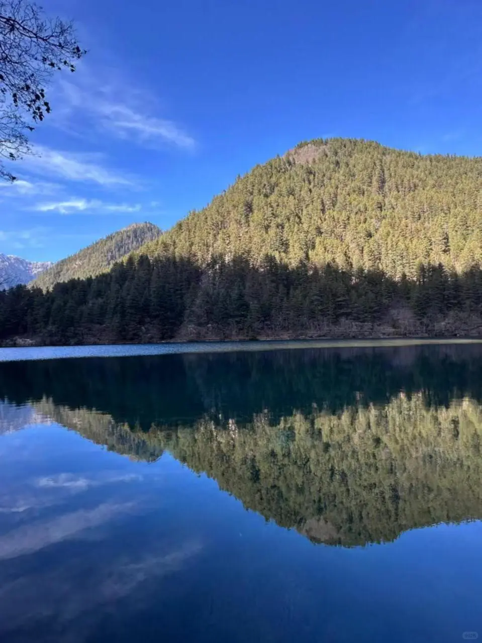 12.6📍已回九寨沟,看看现状,崩溃了😭