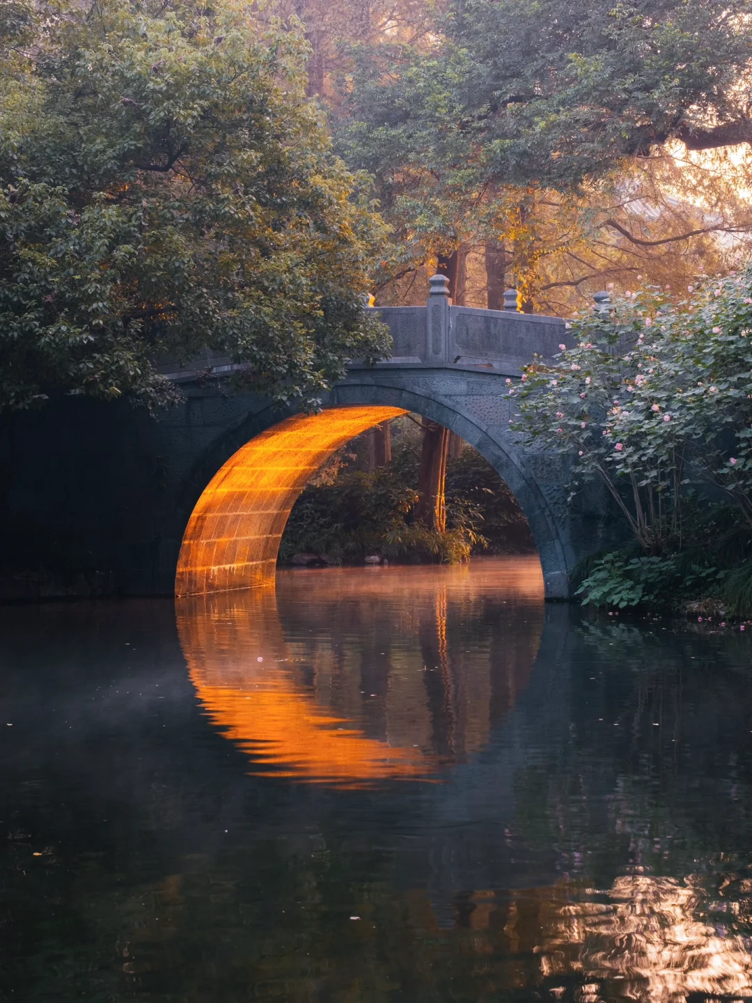 为了这8组照片,我特意飞了趟杭州,值得吗❓