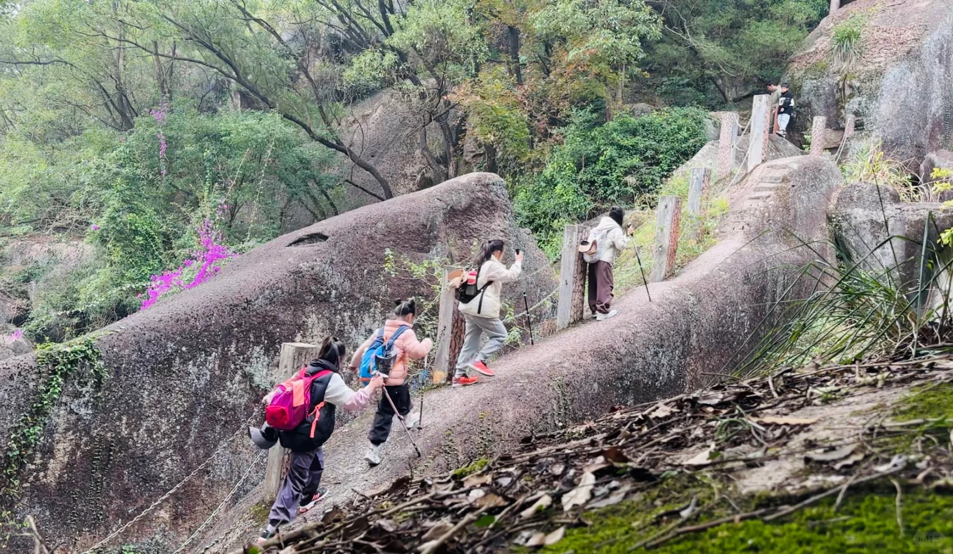 福州周边亲子趣味性最浓的一座山，冲！