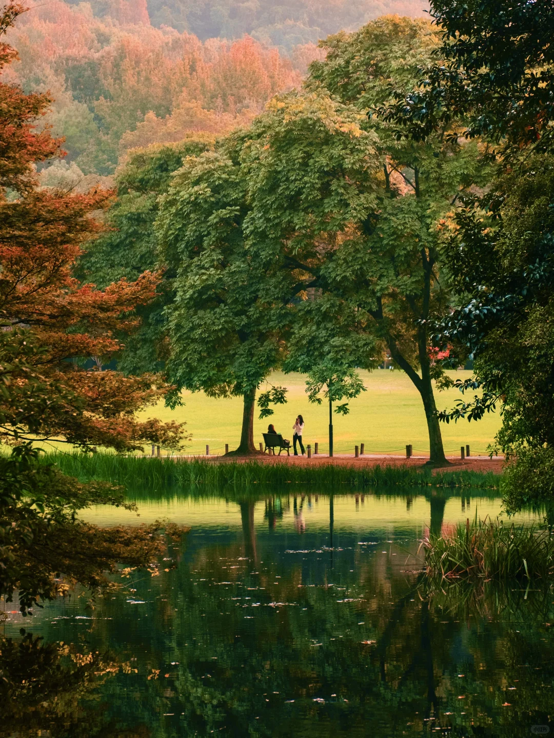 为了这8组照片,我特意飞了趟杭州,值得吗❓