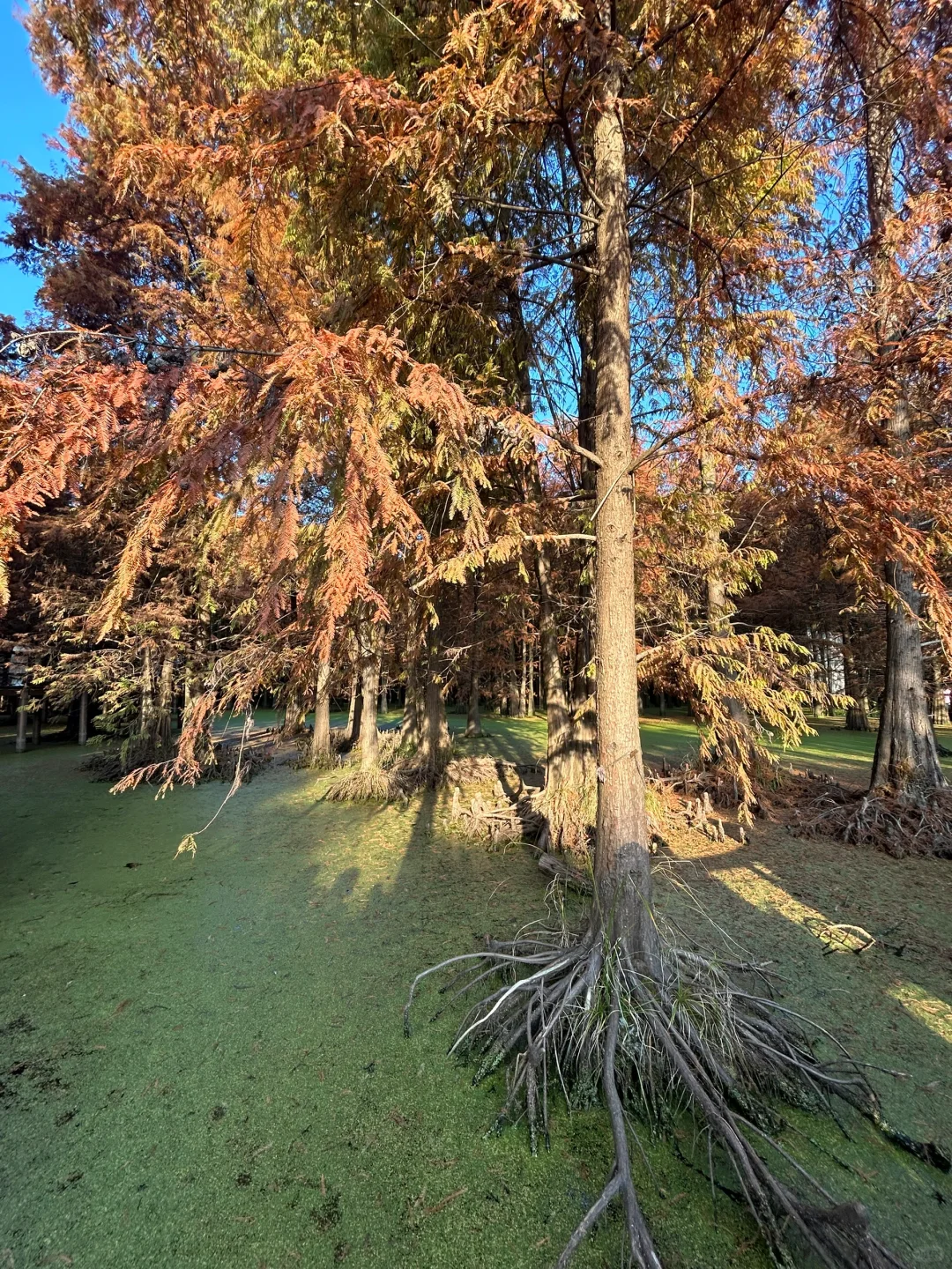 青山湖，原相机就能出片