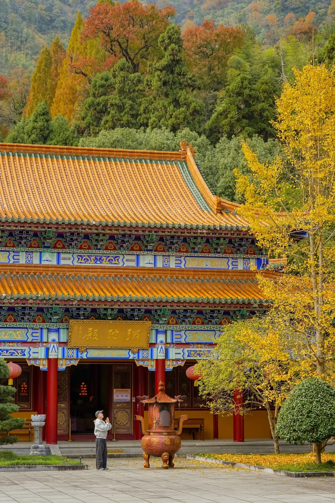 杭州一小时，99%人没去过的秋日古刹🍂