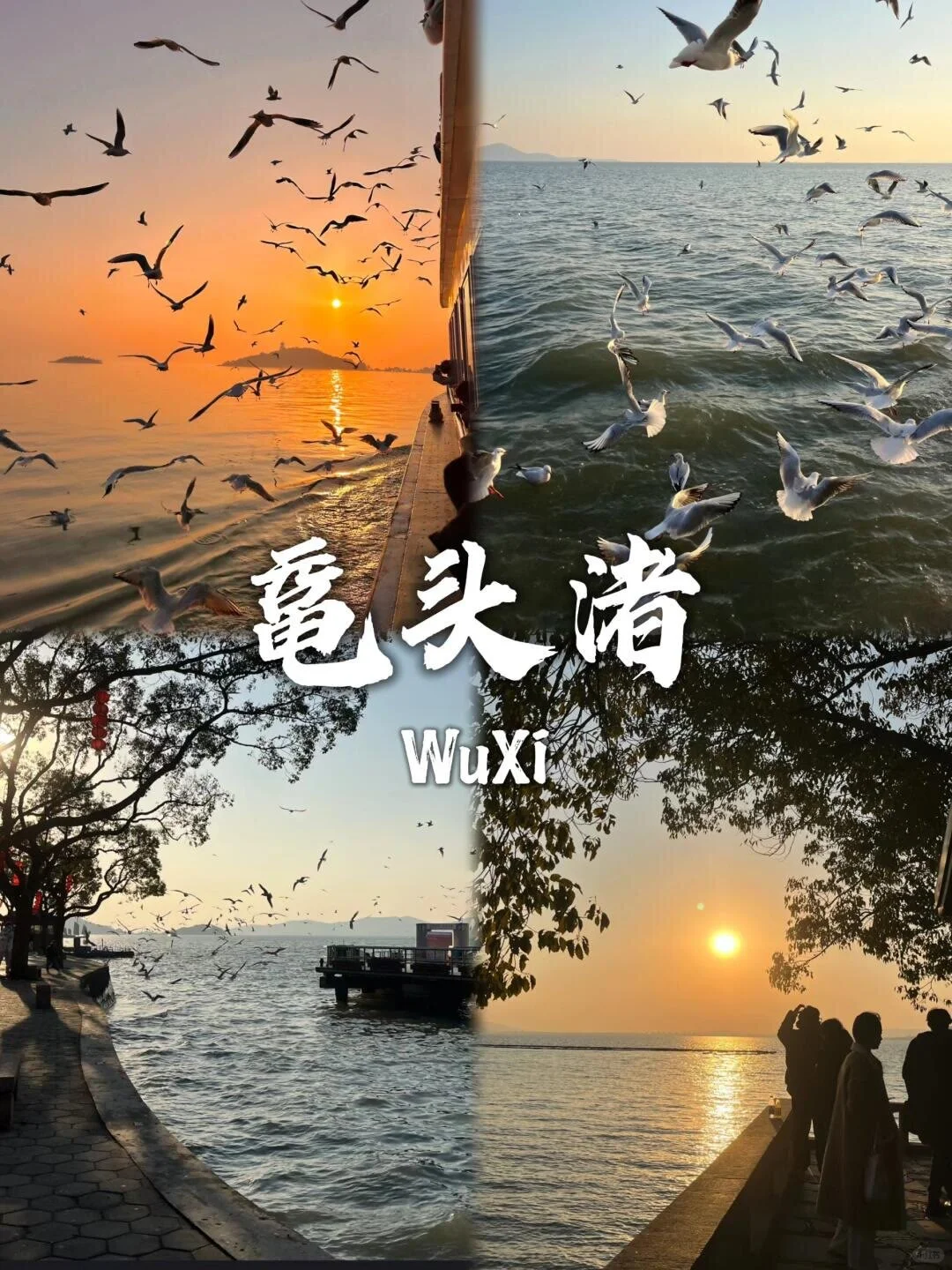 去无锡这9️⃣个景点千万不要错过！！！