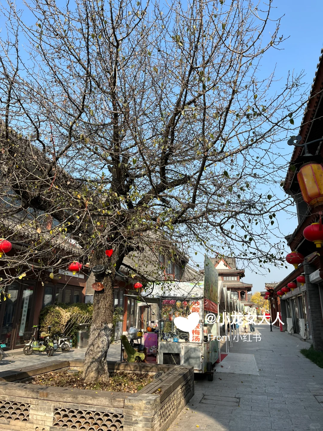 山东德州｜古运河景区｜拍照机位大全📷快收藏