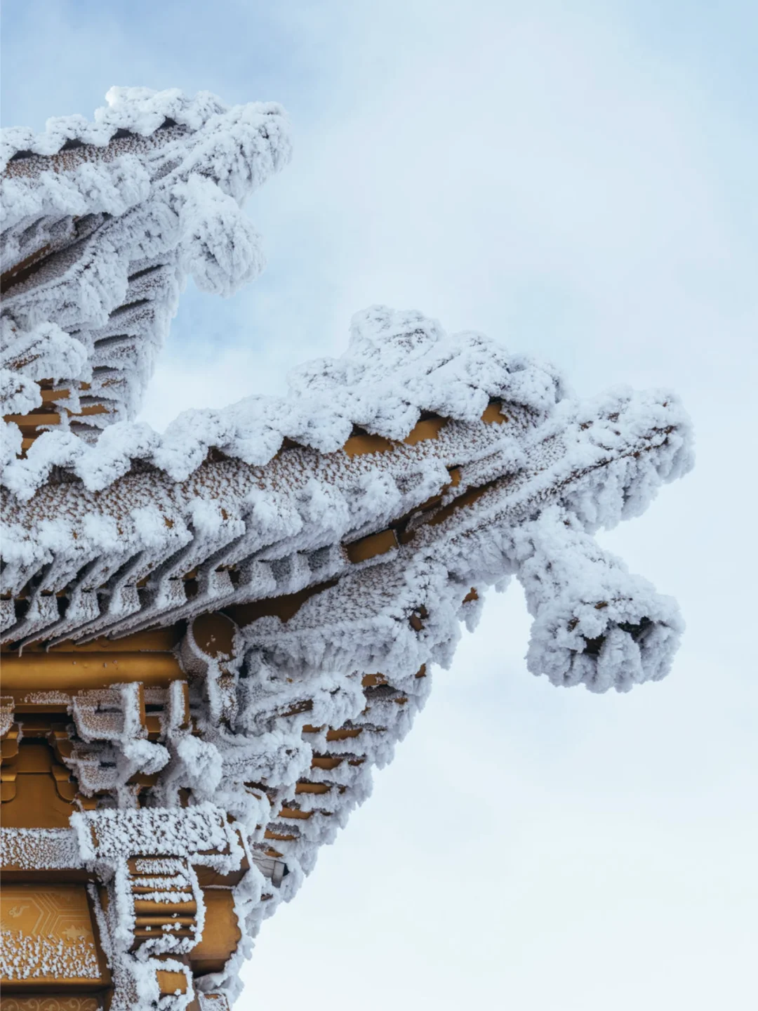 别急着冲!雪后的老君山,远胜下雪时的风光
