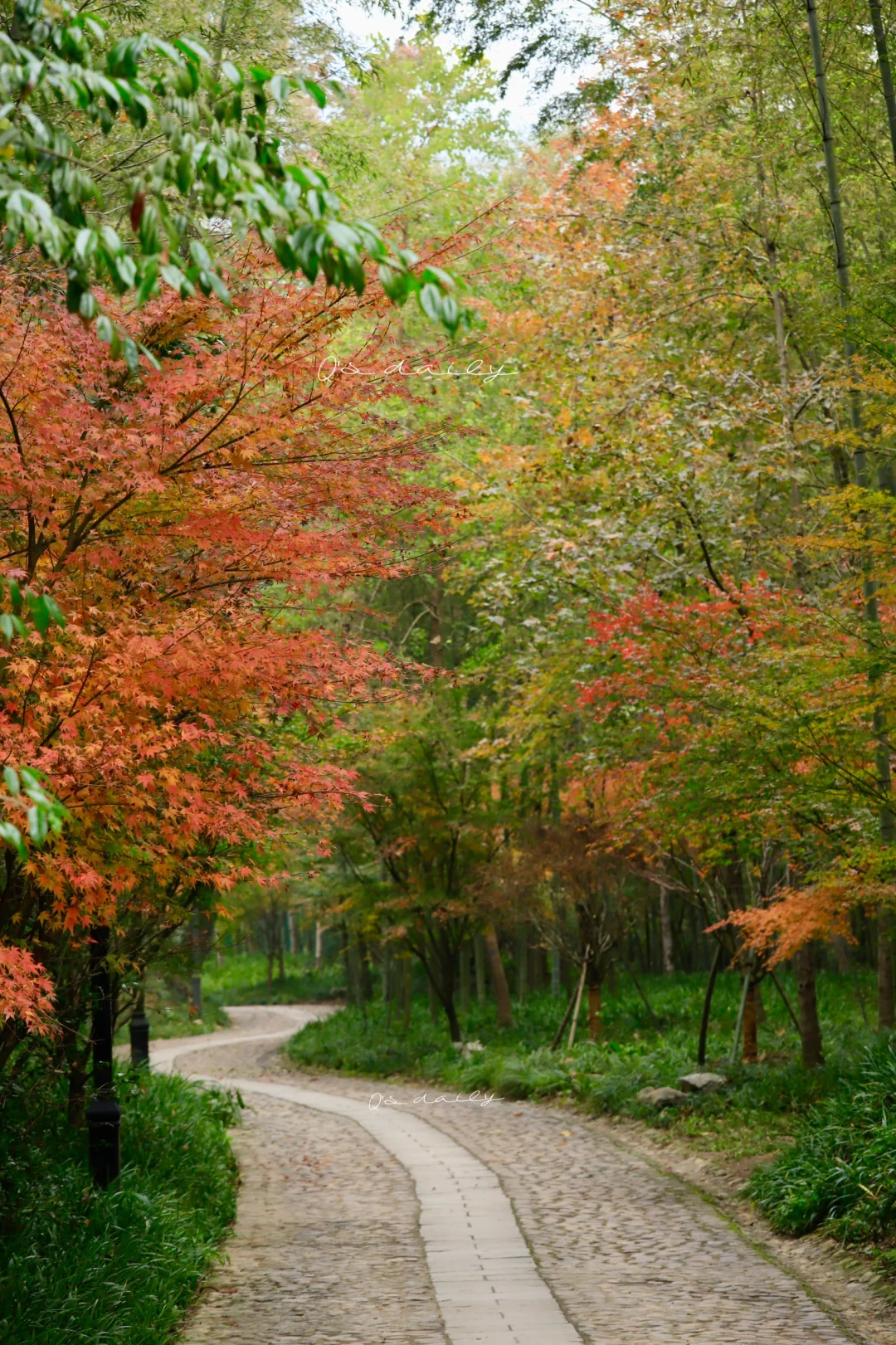 去往上天竺的神秘绝美之路
