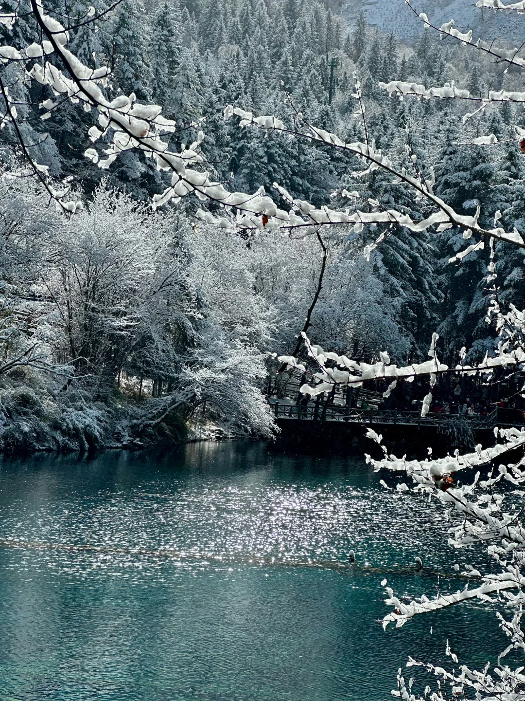 说真的‼️大家千万不要放过下雪的九寨沟啊!