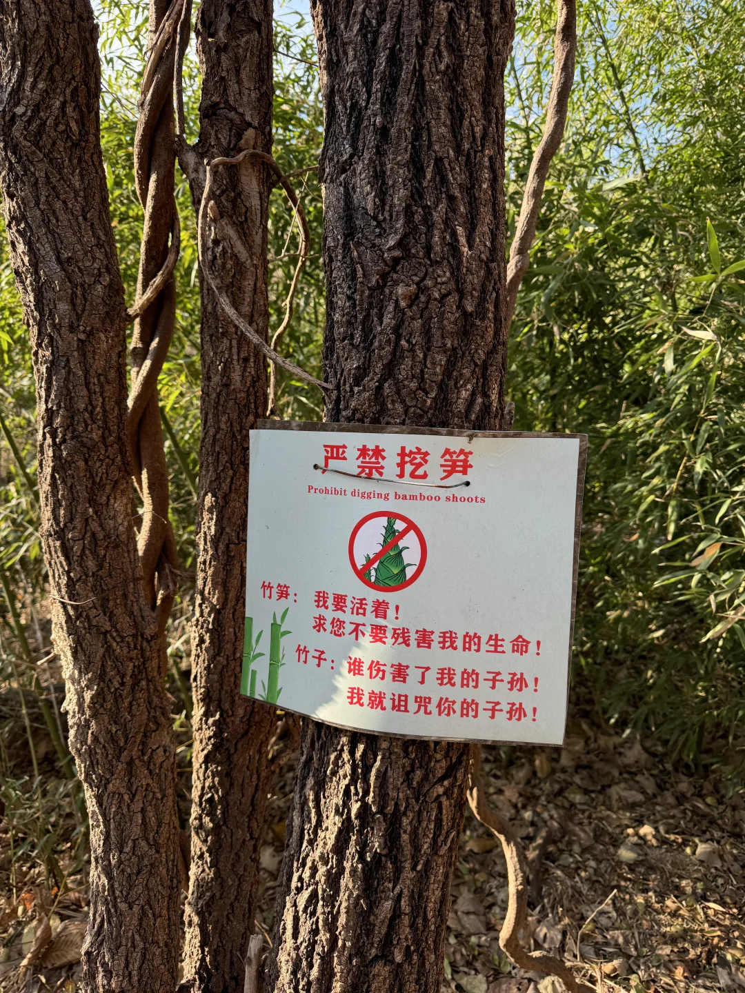 天崮山 好爬好看好拍🥳