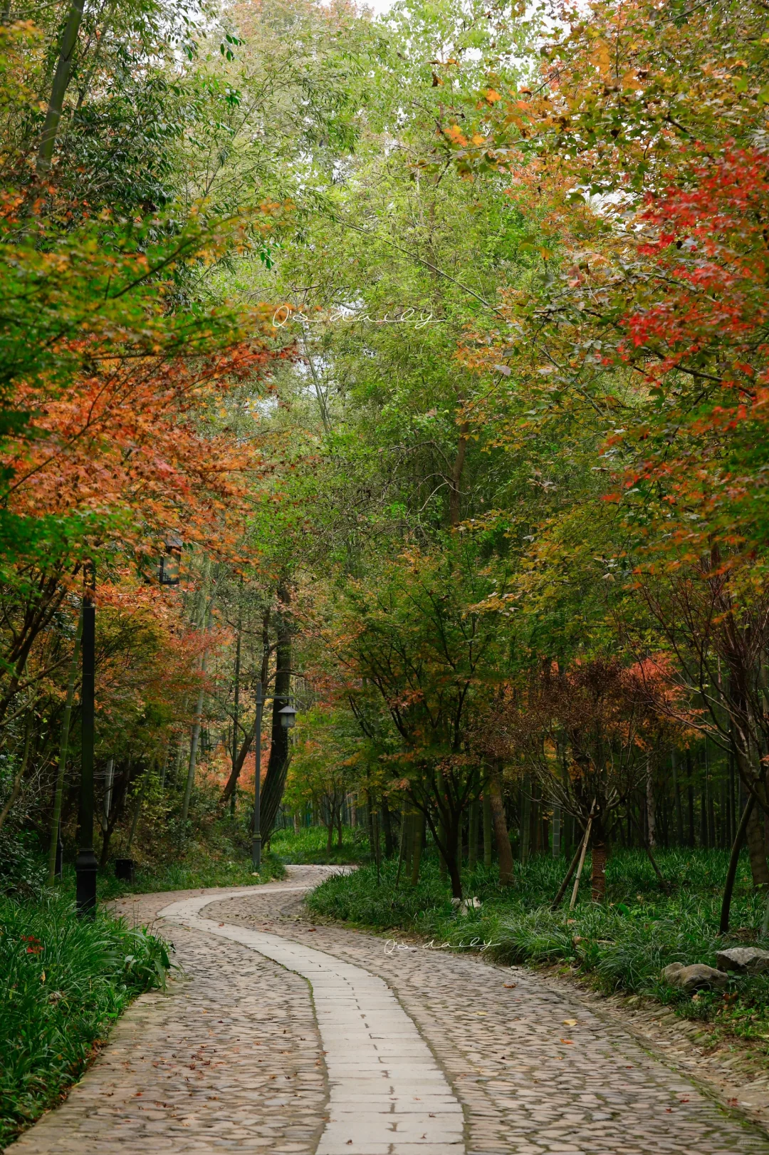 去往上天竺的神秘绝美之路