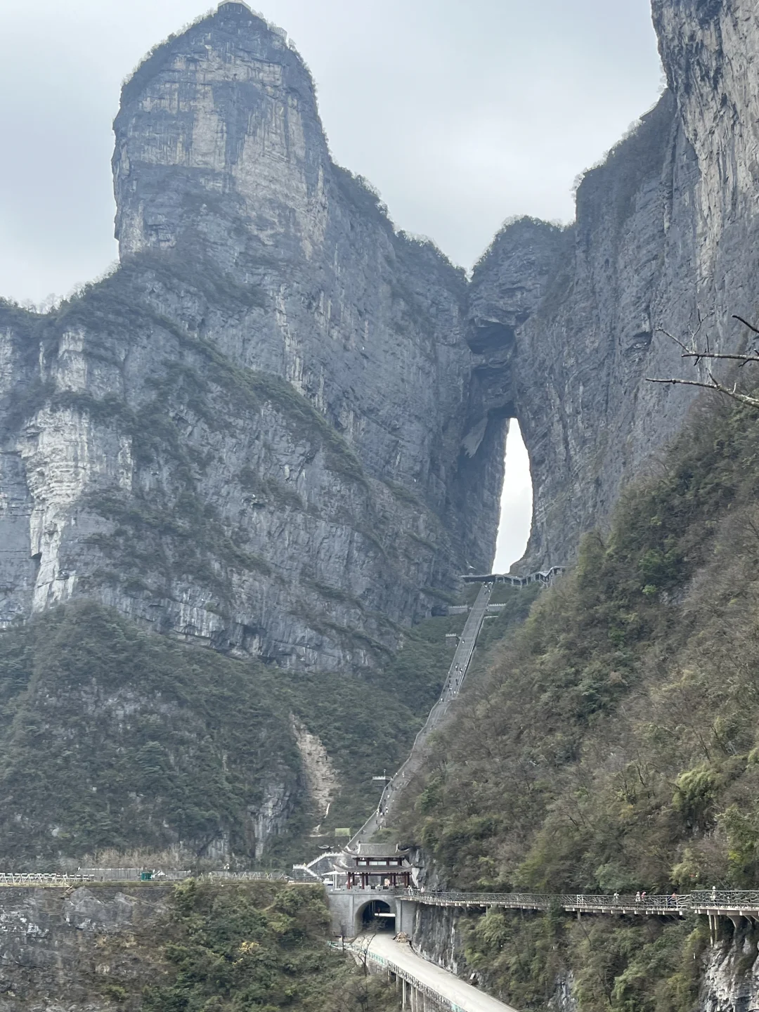 来张家界看世界