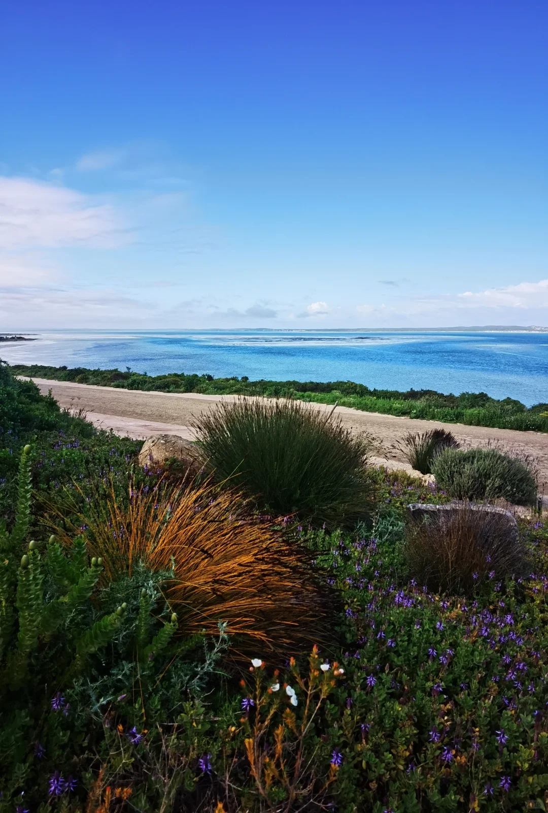 南非【花园大道】旅游攻略
