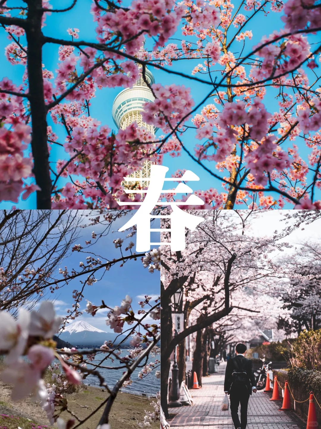 📒日本全年旅游计划