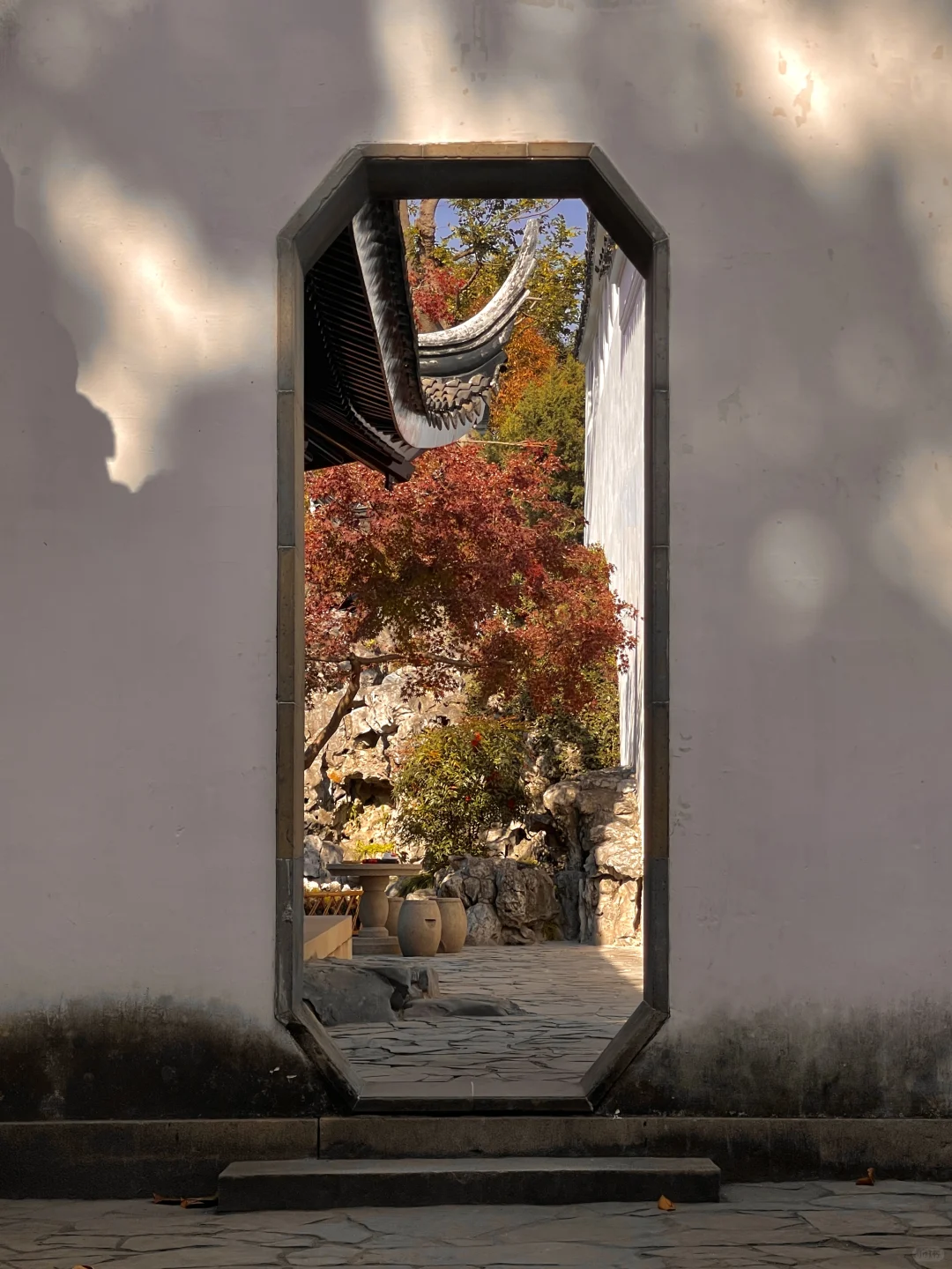 1⃣️8⃣️张live图告诉你苏州的秋天有多美‼️