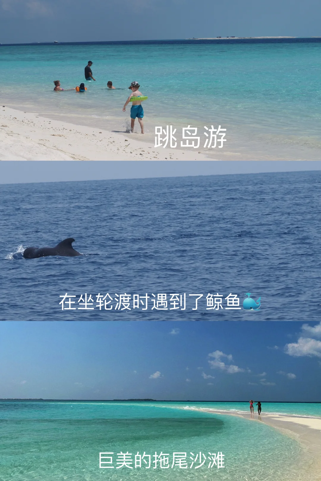 马尔代夫🇲🇻居民岛人均2500➕超全攻略