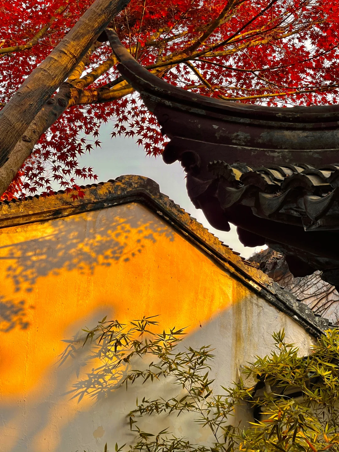 1⃣️8⃣️张live图告诉你苏州的秋天有多美‼️