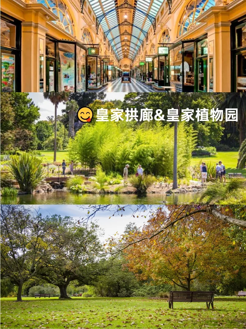 墨尔本旅游懒人版路线😍速来抄作业❗