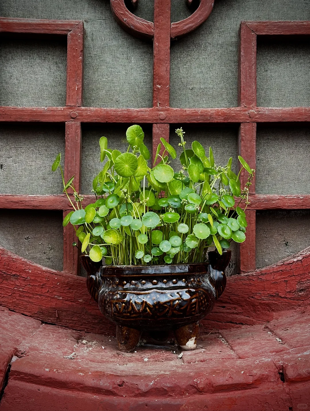 石家庄苍岩山,打卡《黑神话悟空》原型古建筑