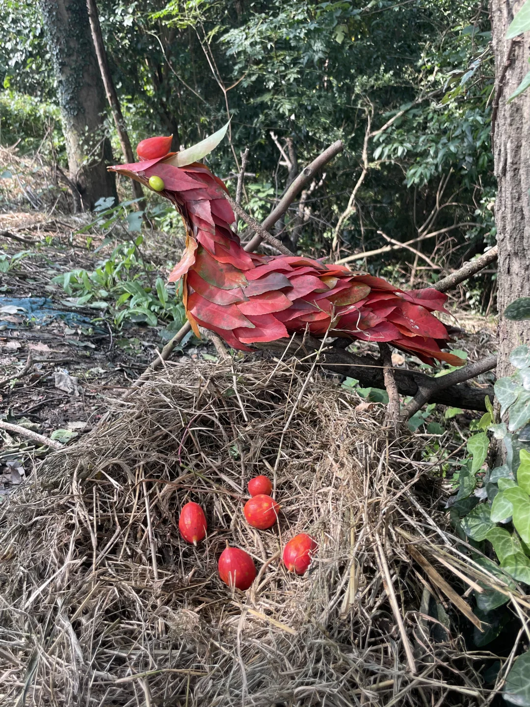 “野”很好玩,“野”很有趣|我的年度passion