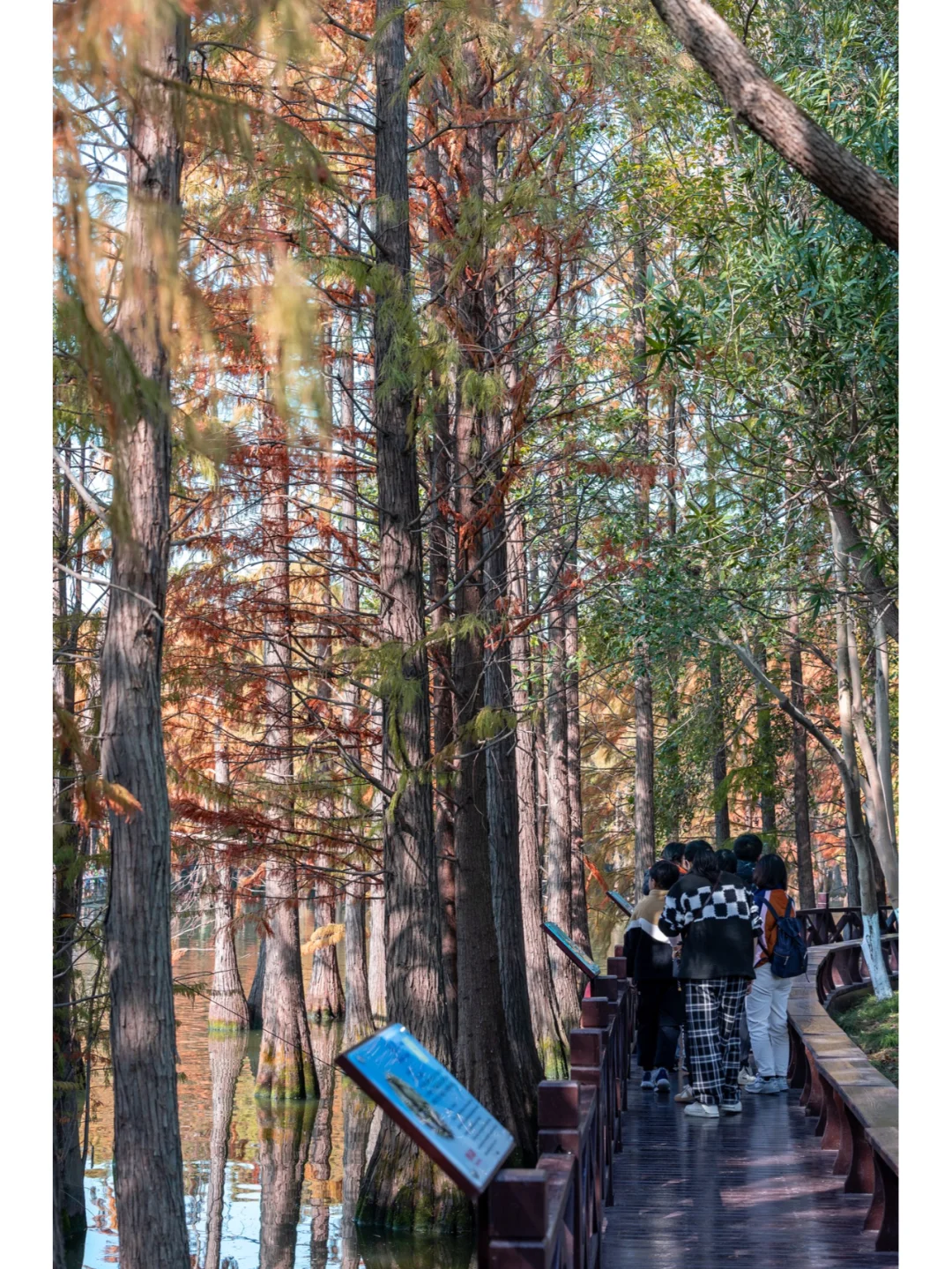 12月的苏州不知道去哪玩，去常熟尚湖吧