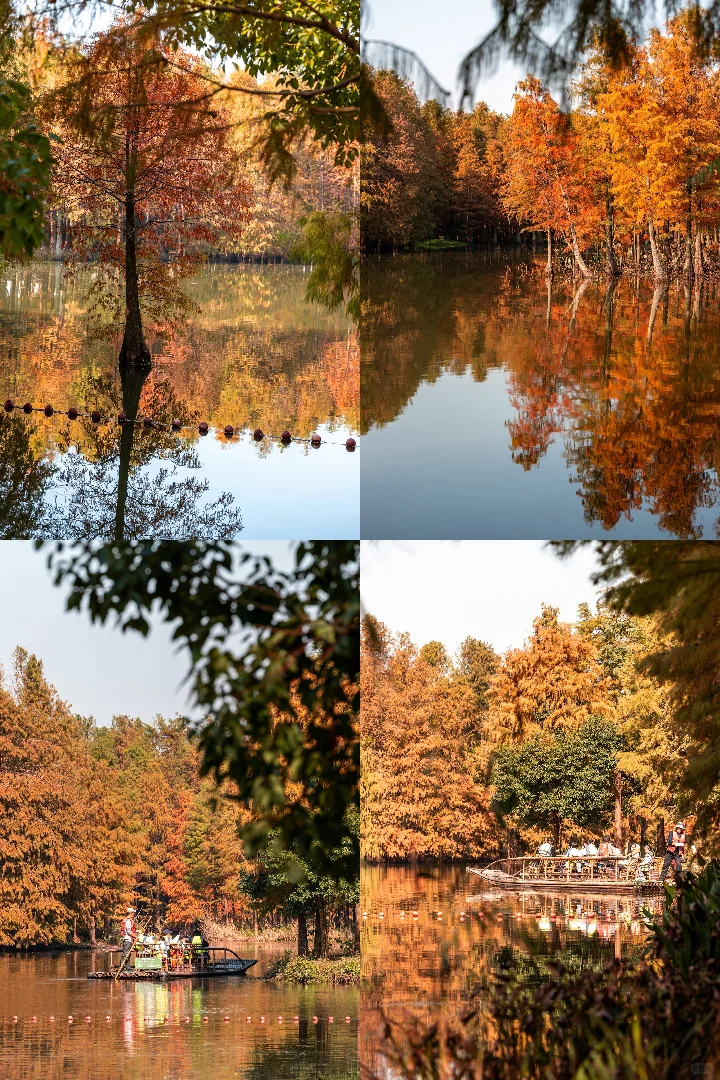 12月的苏州不知道去哪玩，去常熟尚湖吧