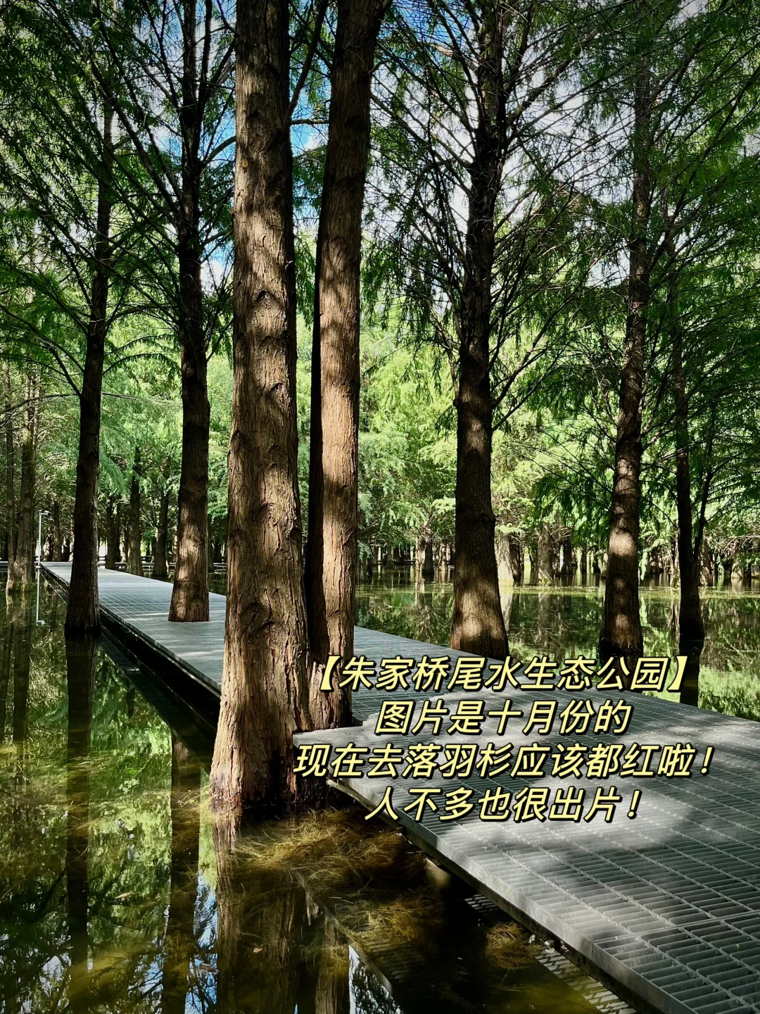 安徽芜湖｜Passion到起飞的宝藏小城🛫