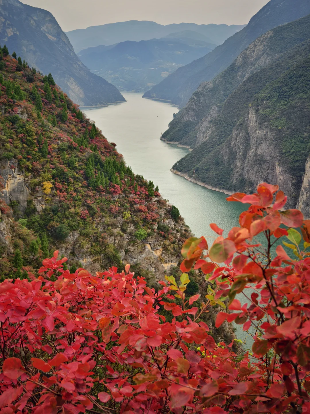 圆梦三峡！看到了李白所说白帝城和三峡之巅