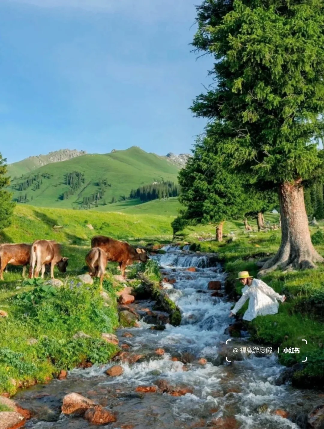 2024国内旅游清单|每个月适合去的旅行地