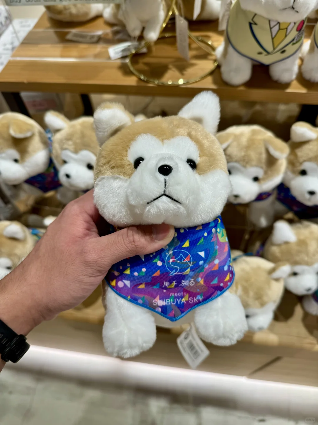 🇲🇾🇯🇵8天才💰3.5k‼️东京旅游攻略来了