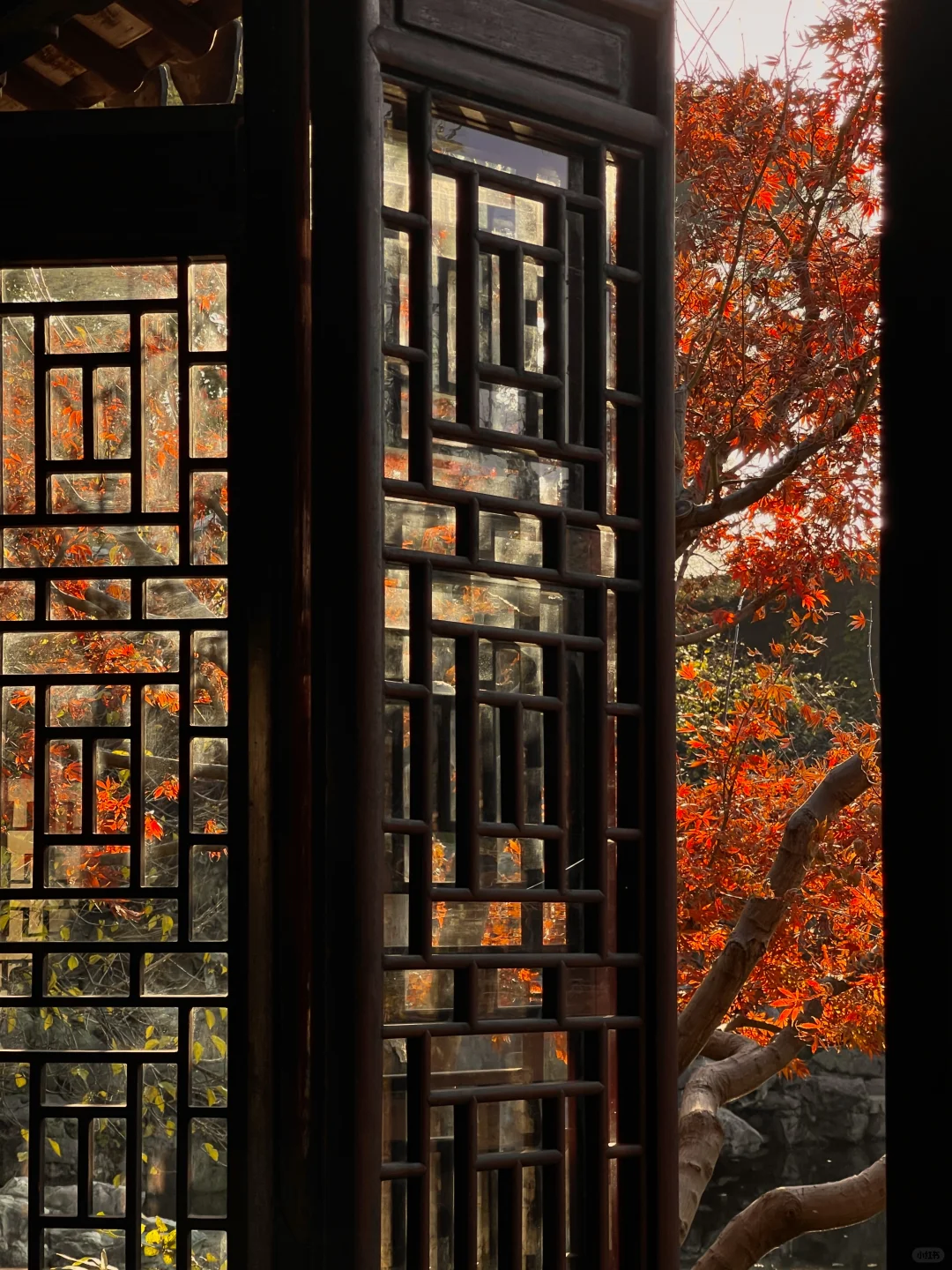 1⃣️8⃣️张live图告诉你苏州的秋天有多美‼️