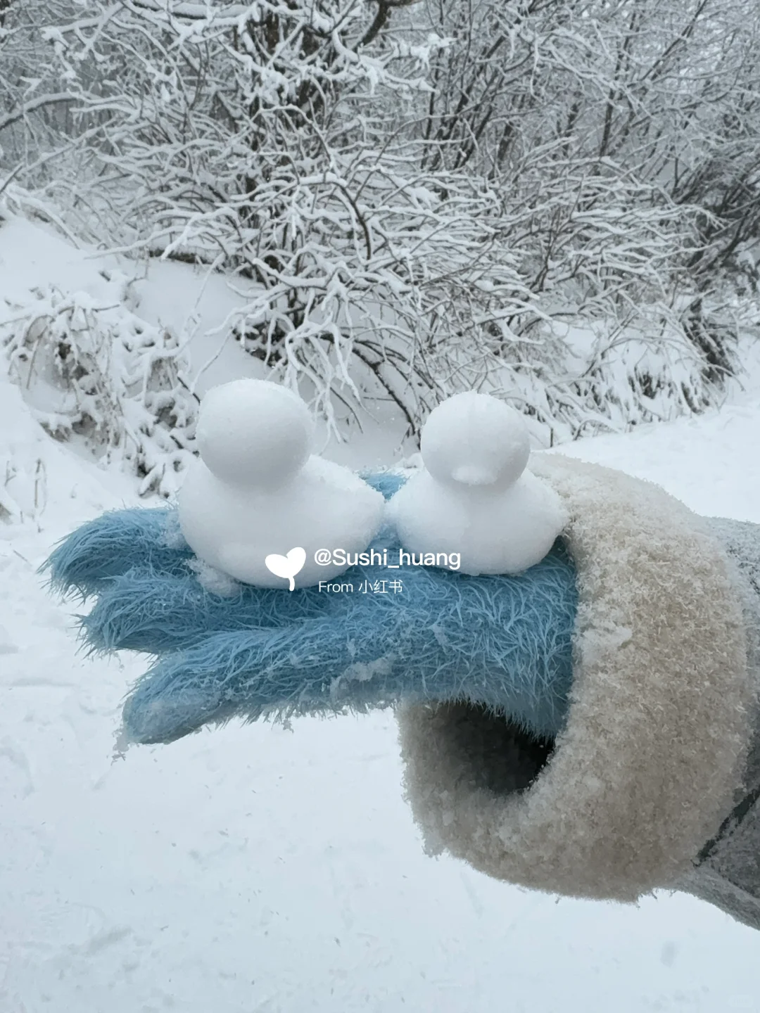 哈尔滨—延吉—雪岭—西坡漂流—长白山最详细攻