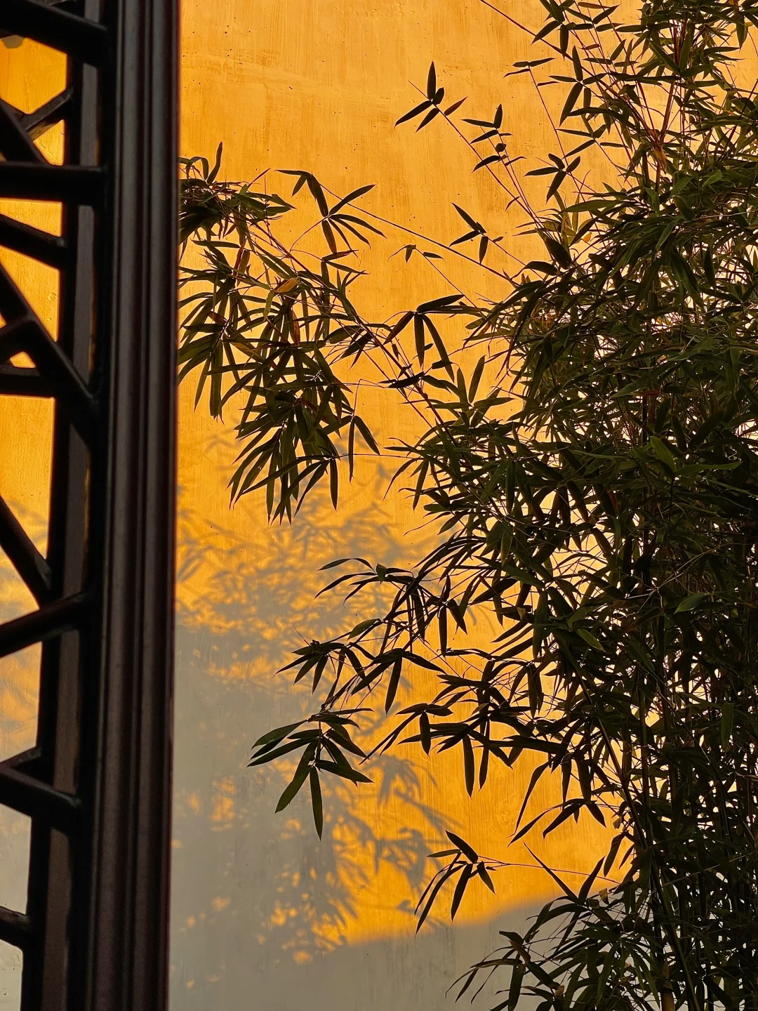 1⃣️8⃣️张live图告诉你苏州的秋天有多美‼️