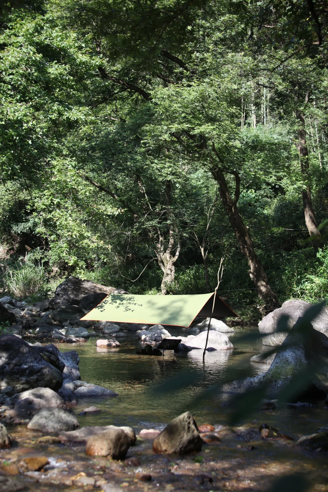 “野”很好玩,“野”很有趣|我的年度passion