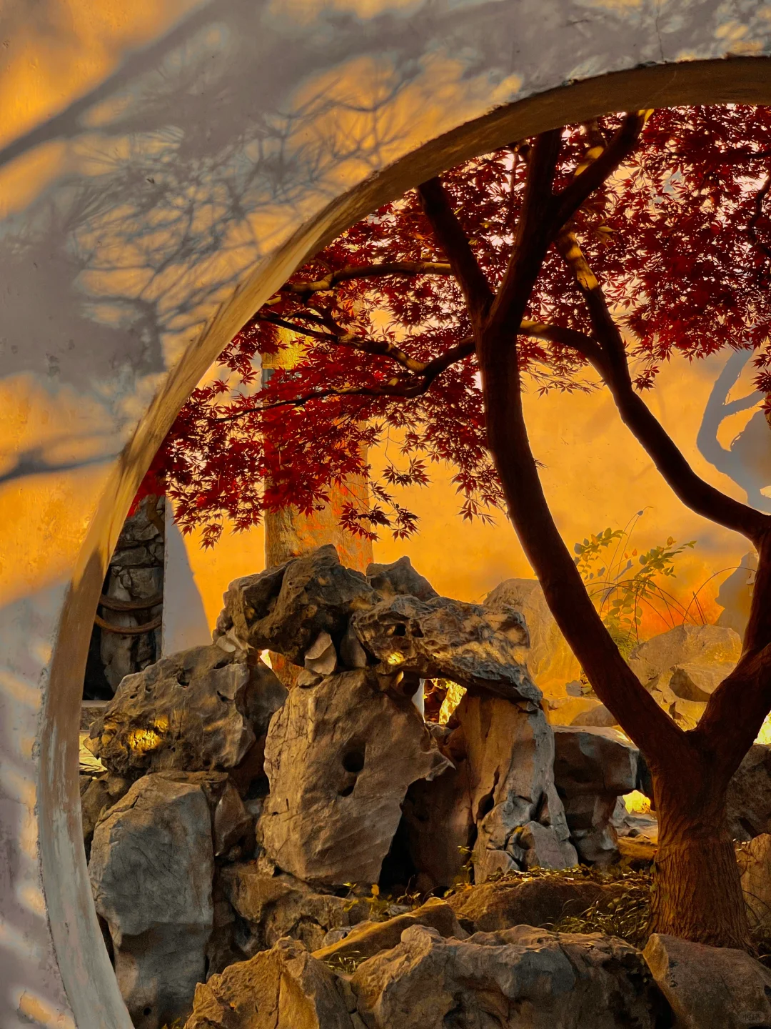 1⃣️8⃣️张live图告诉你苏州的秋天有多美‼️