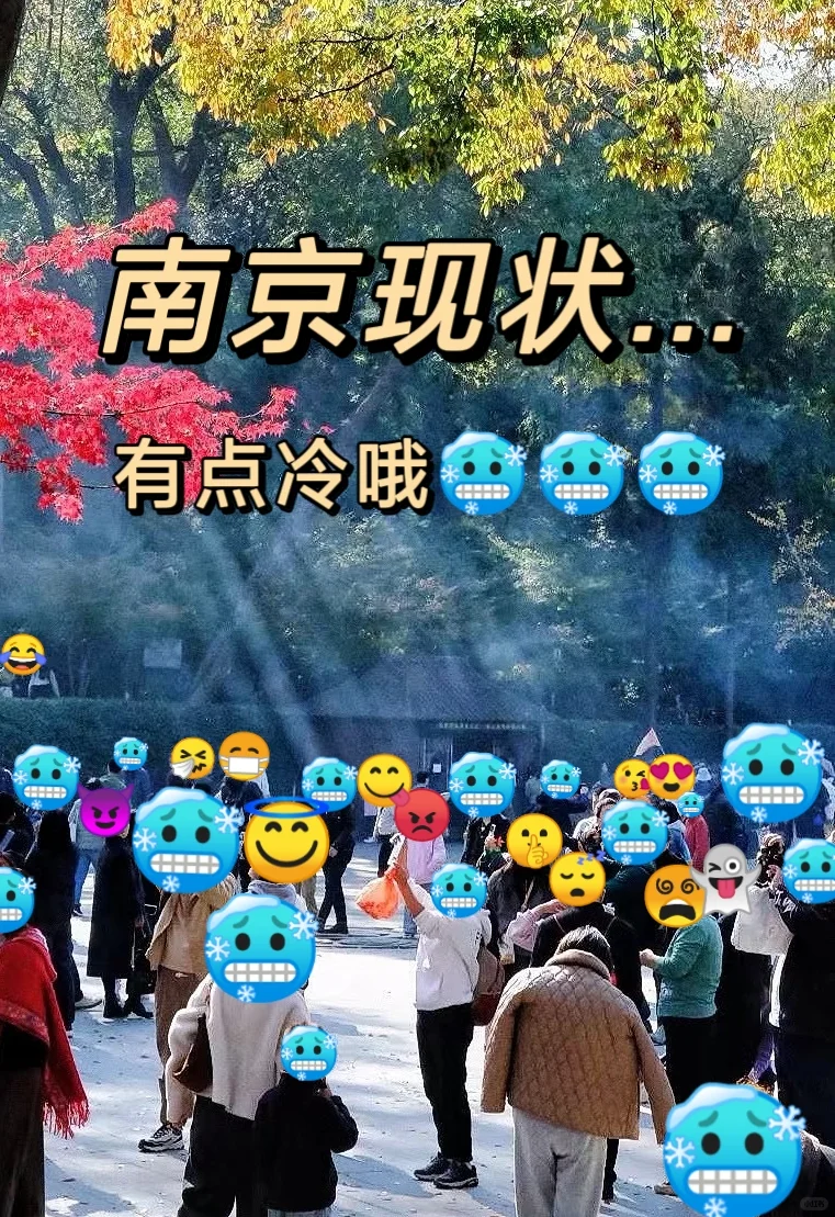 12.6实拍，给12月去南京的家人们😭