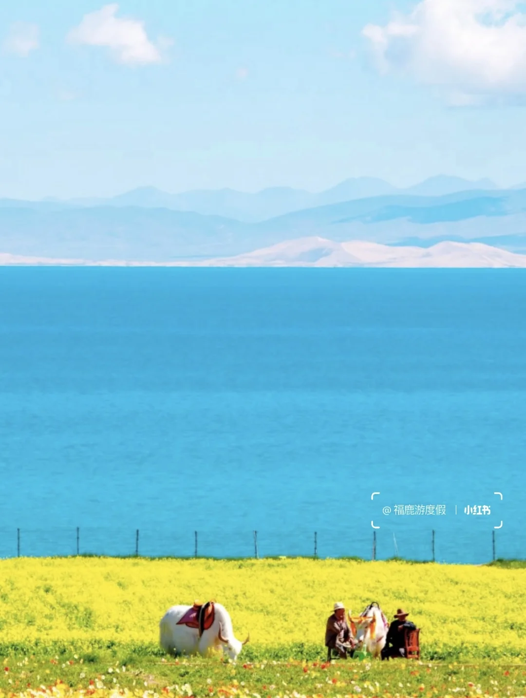 2024国内旅游清单|每个月适合去的旅行地