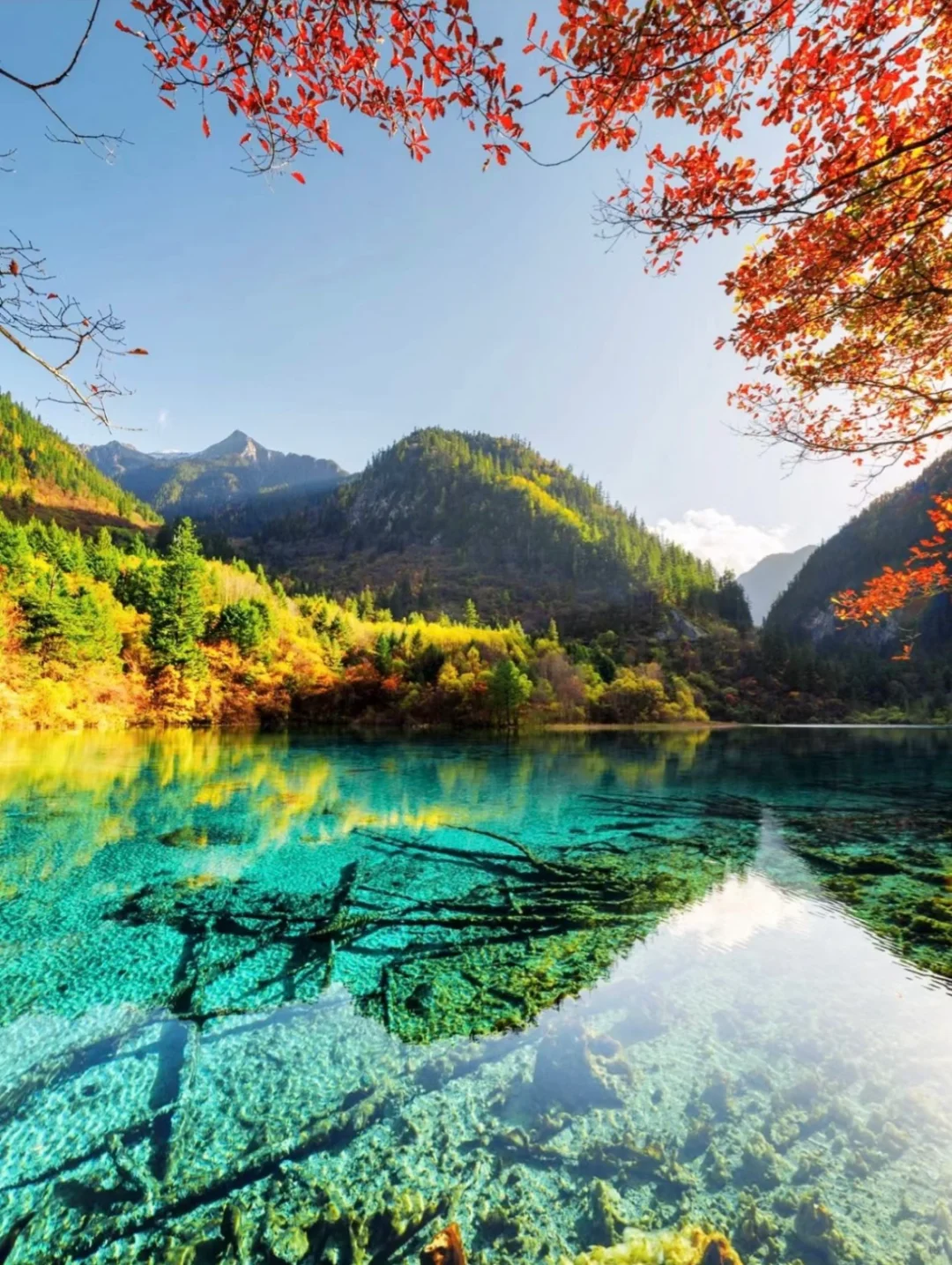 2024国内旅游清单|每个月适合去的旅行地