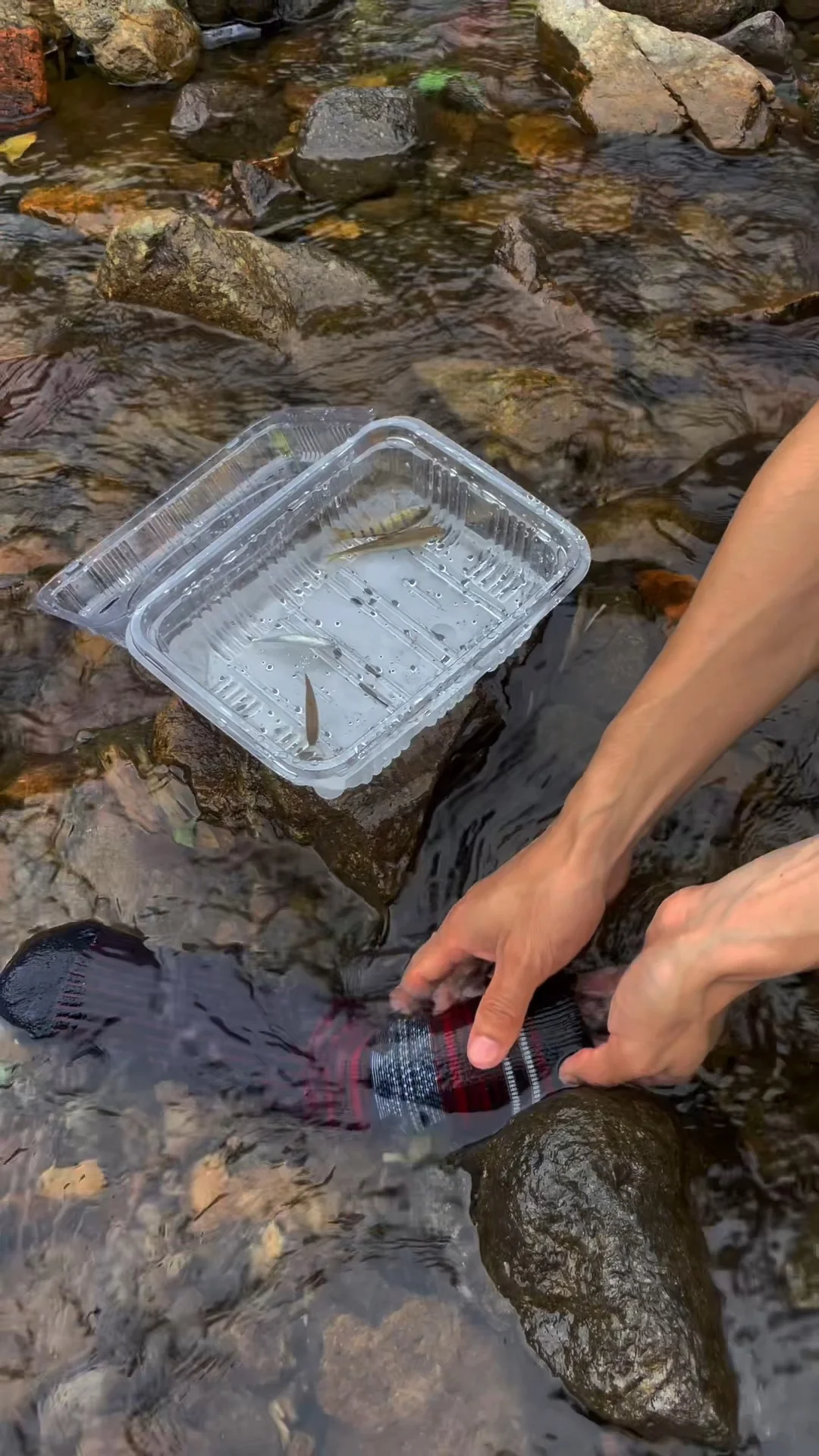 “野”很好玩,“野”很有趣|我的年度passion