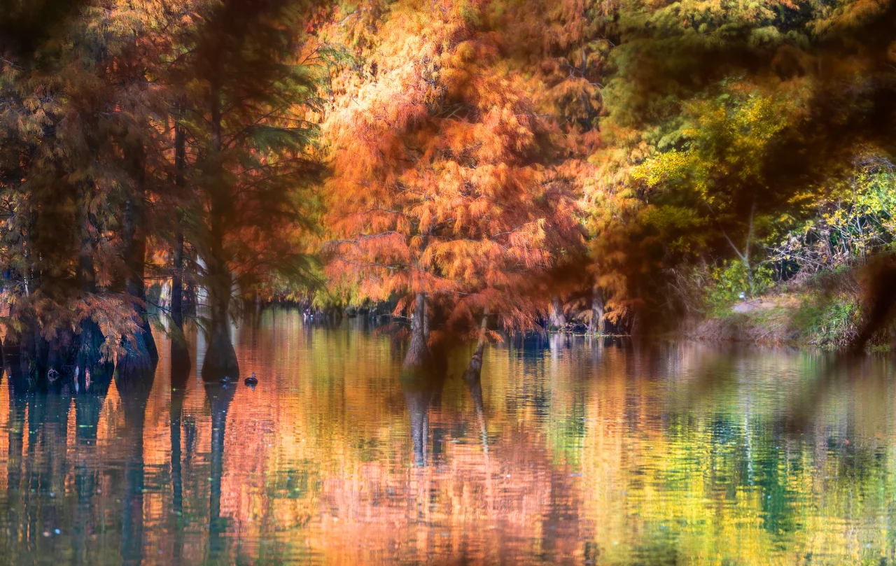 12月的苏州不知道去哪玩，去常熟尚湖吧