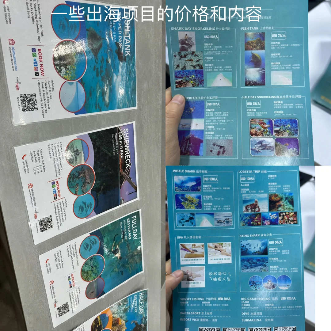 马尔代夫🇲🇻居民岛人均2500➕超全攻略