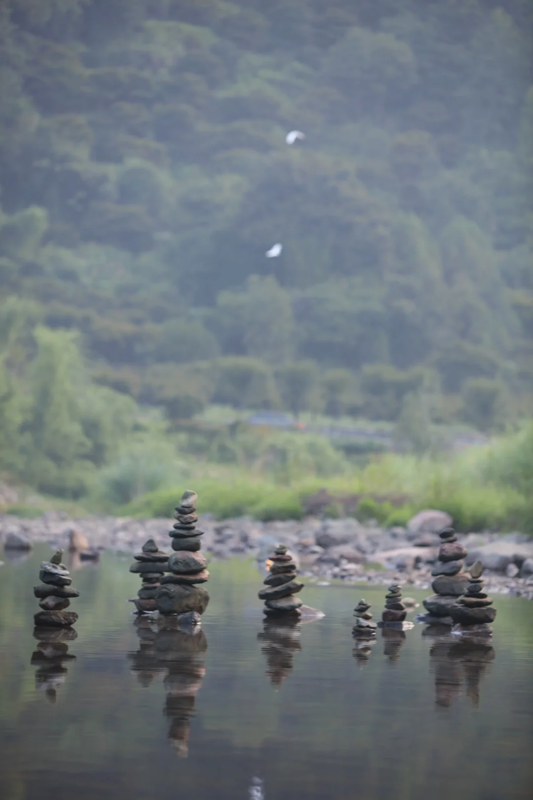 “野”很好玩,“野”很有趣|我的年度passion