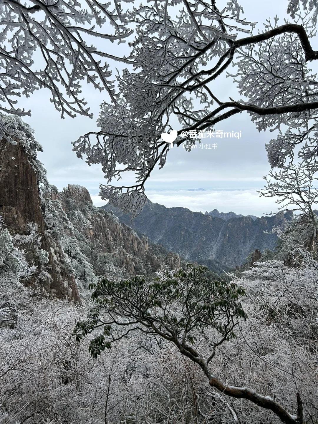 黄山雪季旅游通知！！！还好提前刷到了！！