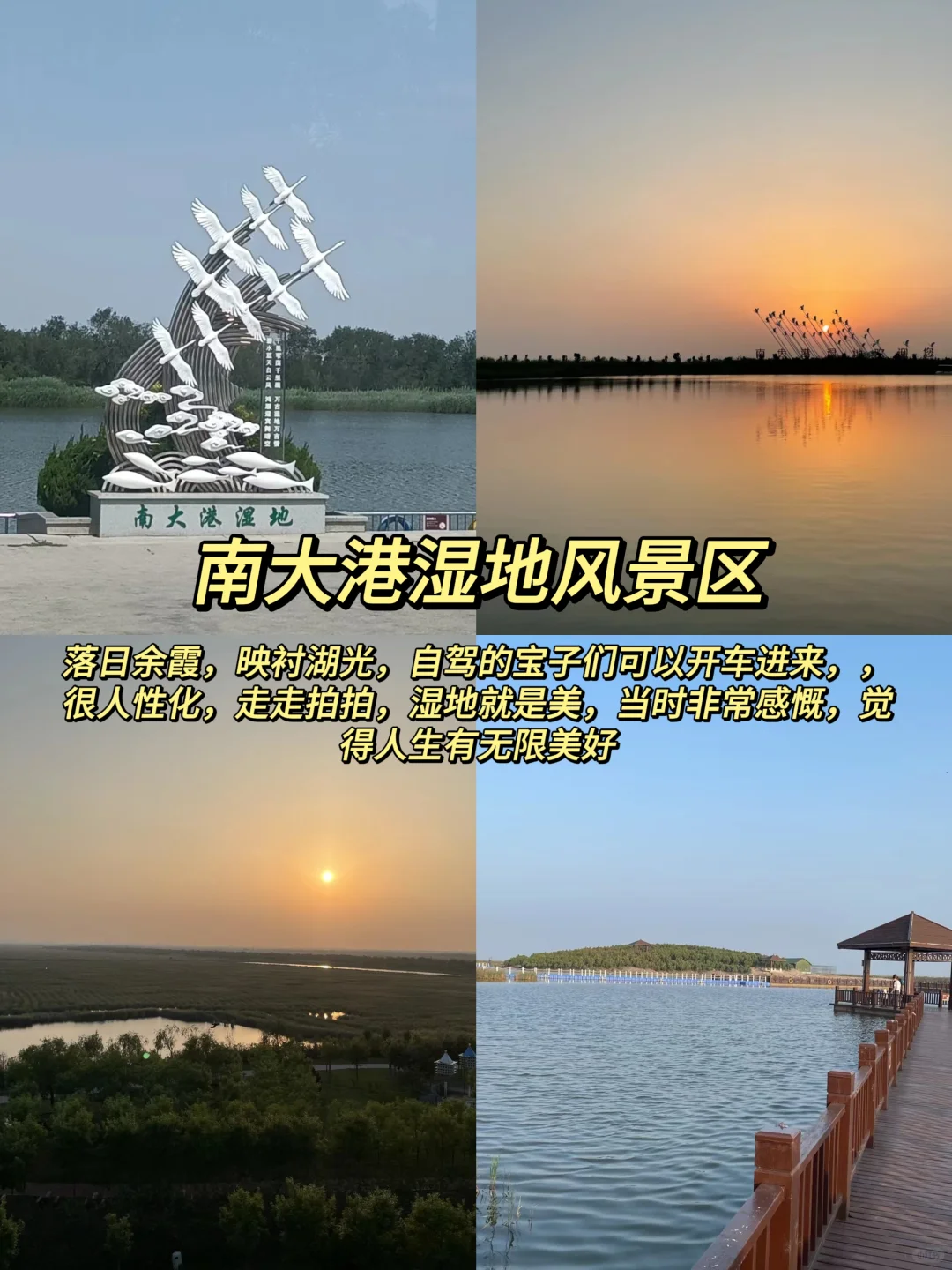 河北沧州必去的九大景点‼️旅行前必看‼️