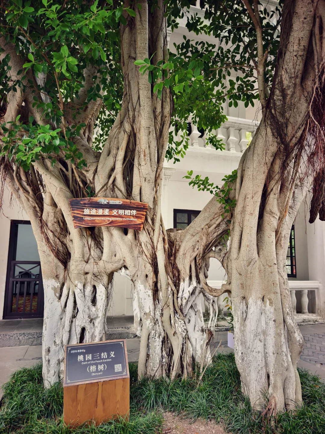 圆梦三峡！看到了李白所说白帝城和三峡之巅