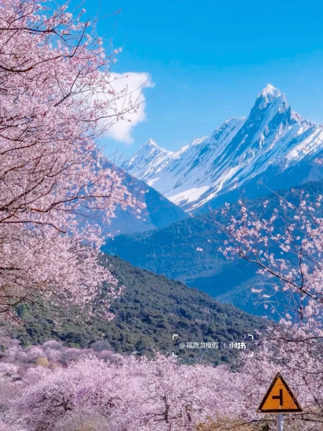 2024国内旅游清单|每个月适合去的旅行地