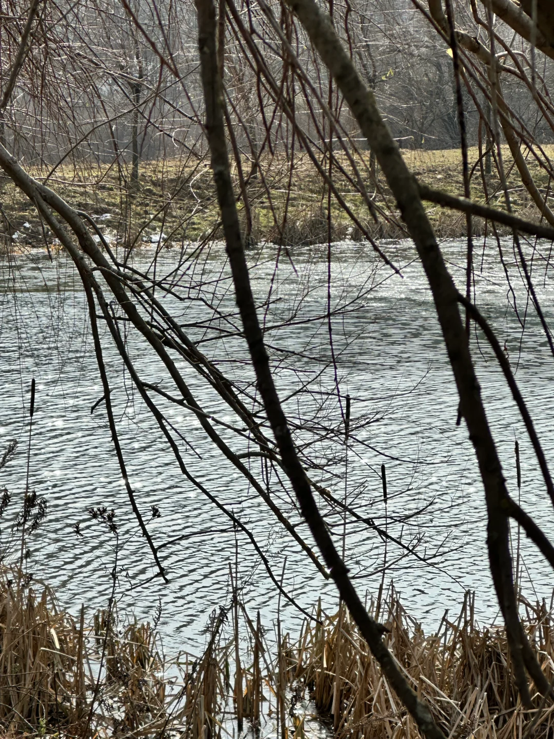 南岭公园雪化了？！❄️西安2.5h抵达冰雪世界～