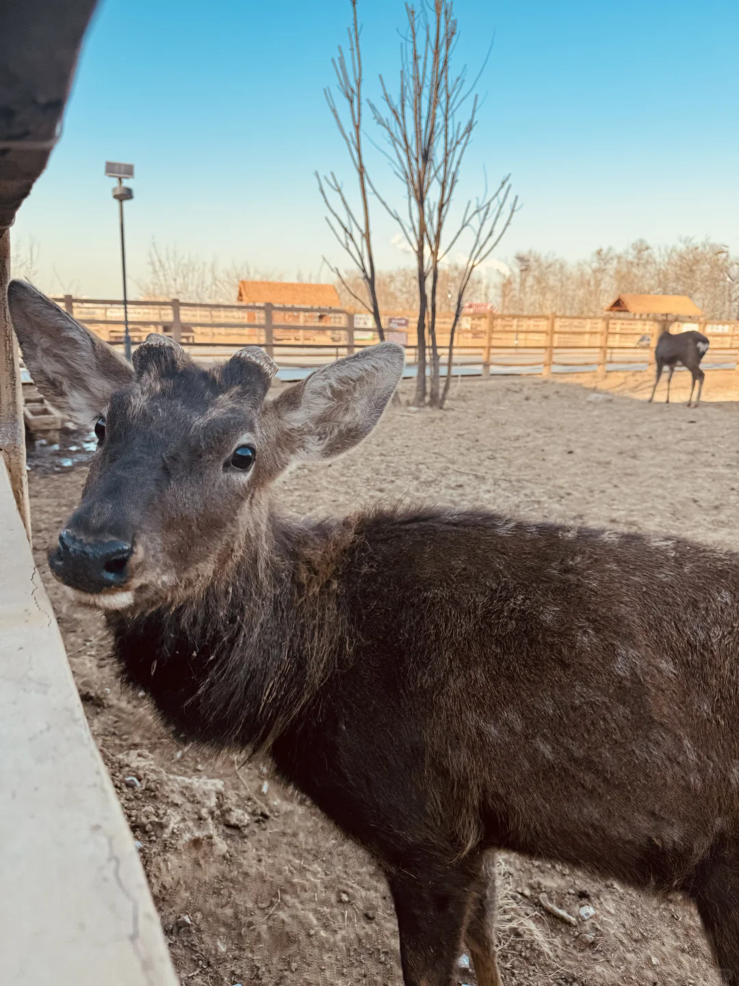 被问了好几遍⁉️12🈷️石家庄童话游玩好去处