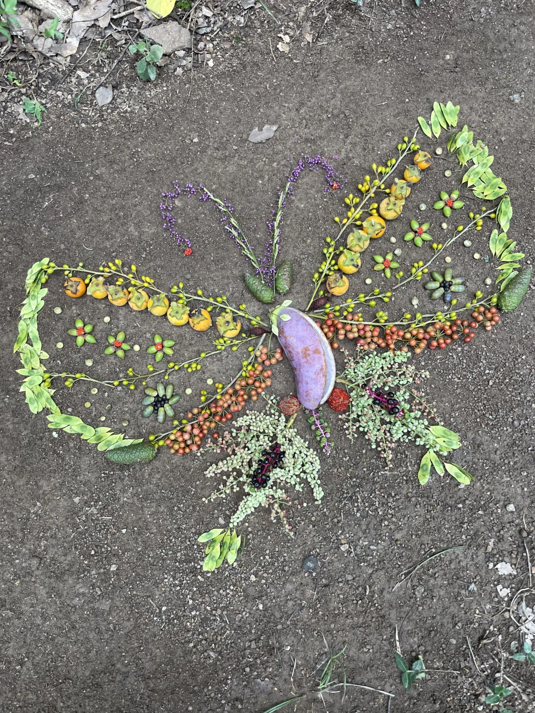 “野”很好玩,“野”很有趣|我的年度passion