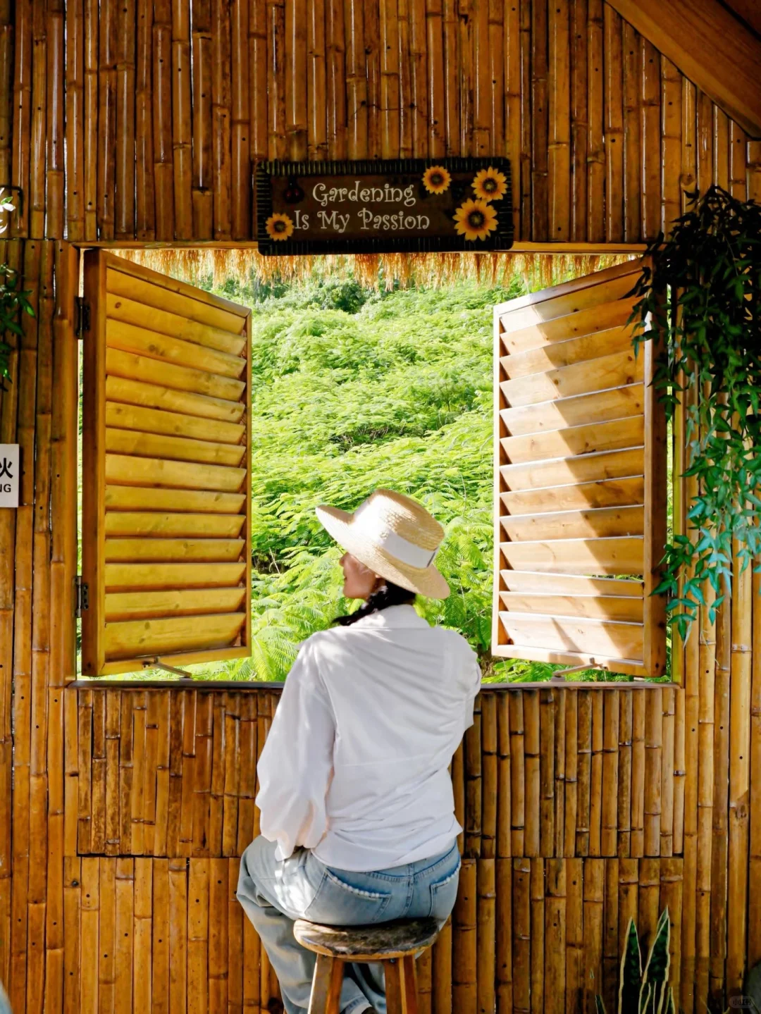 如果你第一次来崇左，请马住这几条私藏路线
